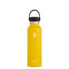 Hydro Flask 21 oz Bottle – Standard Mouth